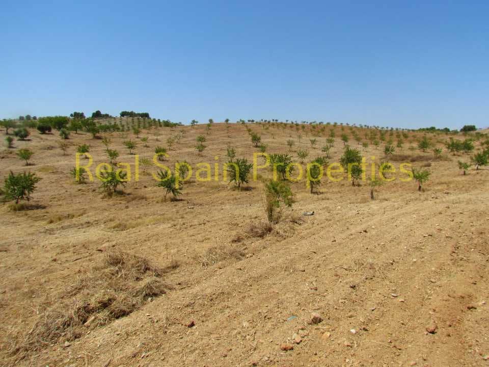 3 sovrum Finca/Hus på landet till salu i Velez-Rubio - 225 000 € (Ref: 8417195)