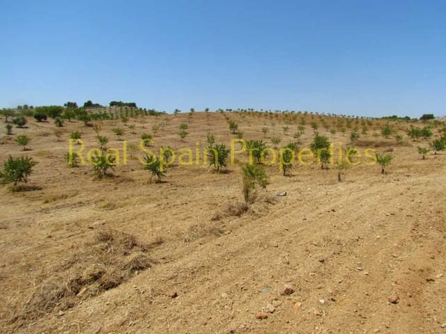 3 sovrum Finca/Hus på landet till salu i Vélez-Rubio - 225 000 € (Ref: 8417195)