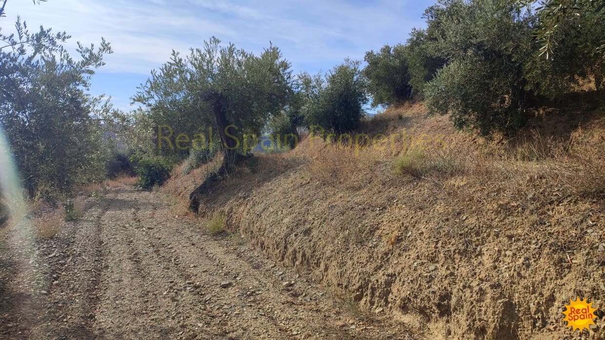 Grunde uden byggetilladelser til salg i Velez-Rubio - € 24.000 (Ref: 8417196)