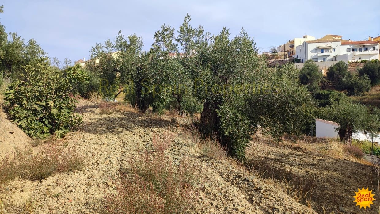 Grunde uden byggetilladelser til salg i Velez-Rubio - € 24.000 (Ref: 8417196)