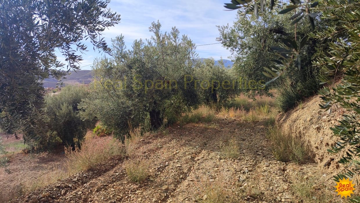 Grunde uden byggetilladelser til salg i Velez-Rubio - € 24.000 (Ref: 8417196)