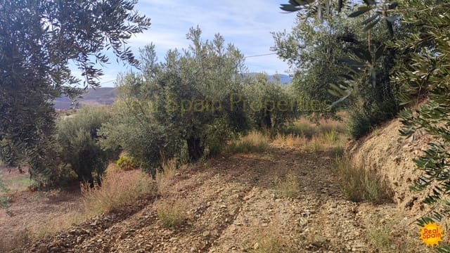 Mark till salu i Vélez-Rubio - 24 000 € (Ref: 8417196)