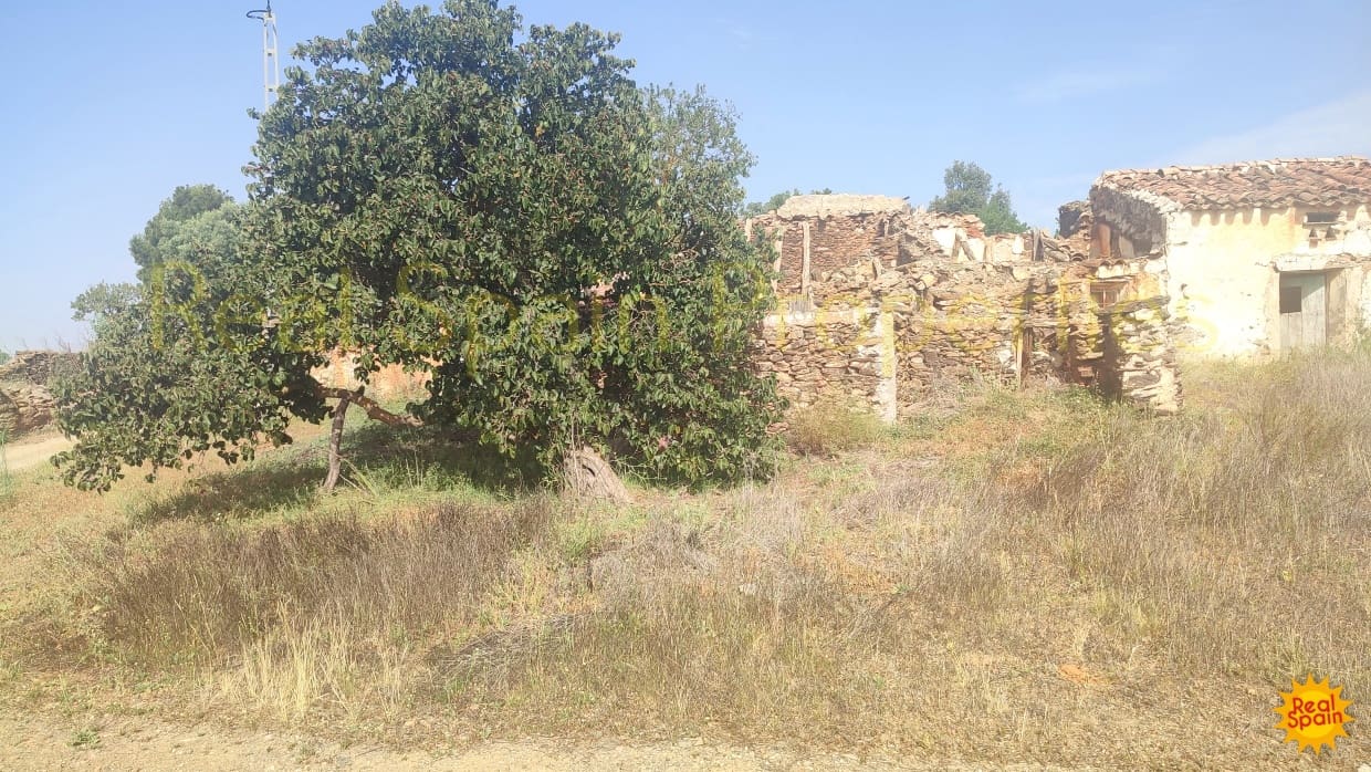 Grunde uden byggetilladelser til salg i Velez-Blanco - € 29.000 (Ref: 8417205)