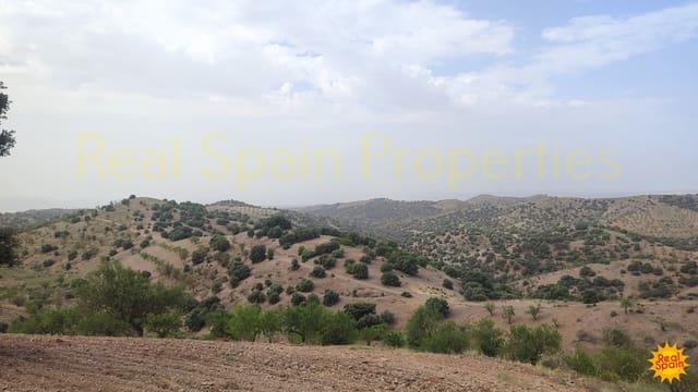 Undeveloped Land for sale in Vélez-Blanco - € 29,000 (Ref: 8417205)