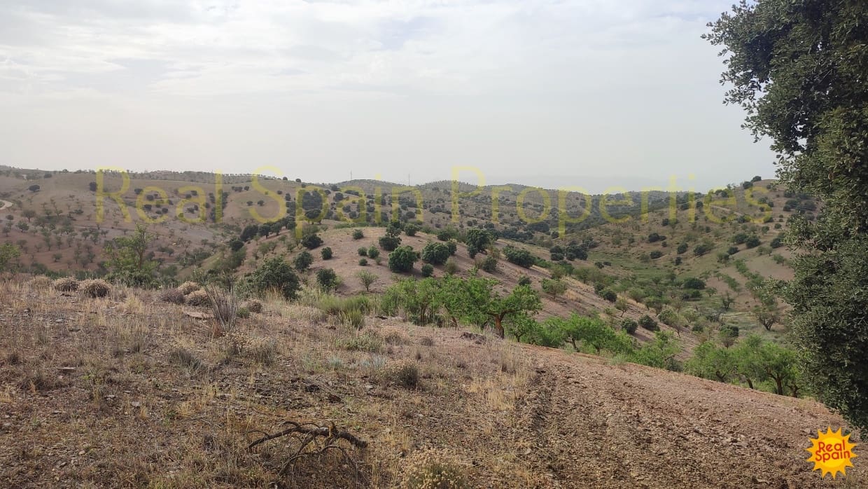 Grunde uden byggetilladelser til salg i Velez-Blanco - € 29.000 (Ref: 8417205)