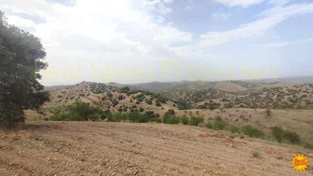 Undeveloped Land for sale in Vélez-Blanco - € 29,000 (Ref: 8417205)
