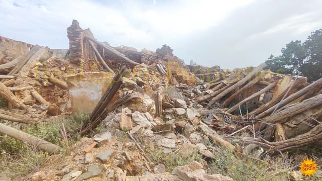 Undeveloped Land for sale in Vélez-Blanco - € 29,000 (Ref: 8417205)