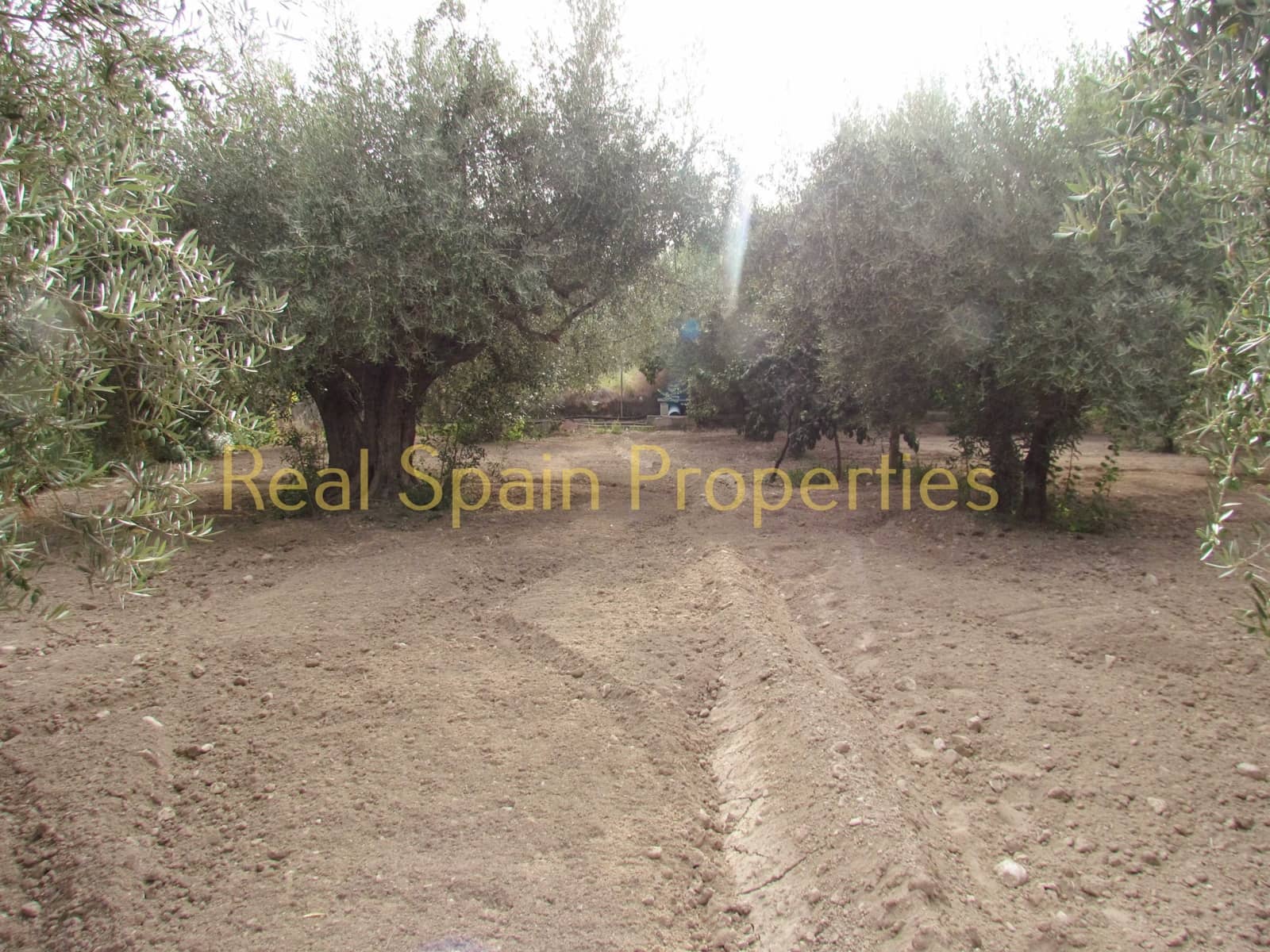 3 camera da letto Finca/Casa di Campagna in vendita in Velez-Rubio - 149.000 € (Rif: 8417221)