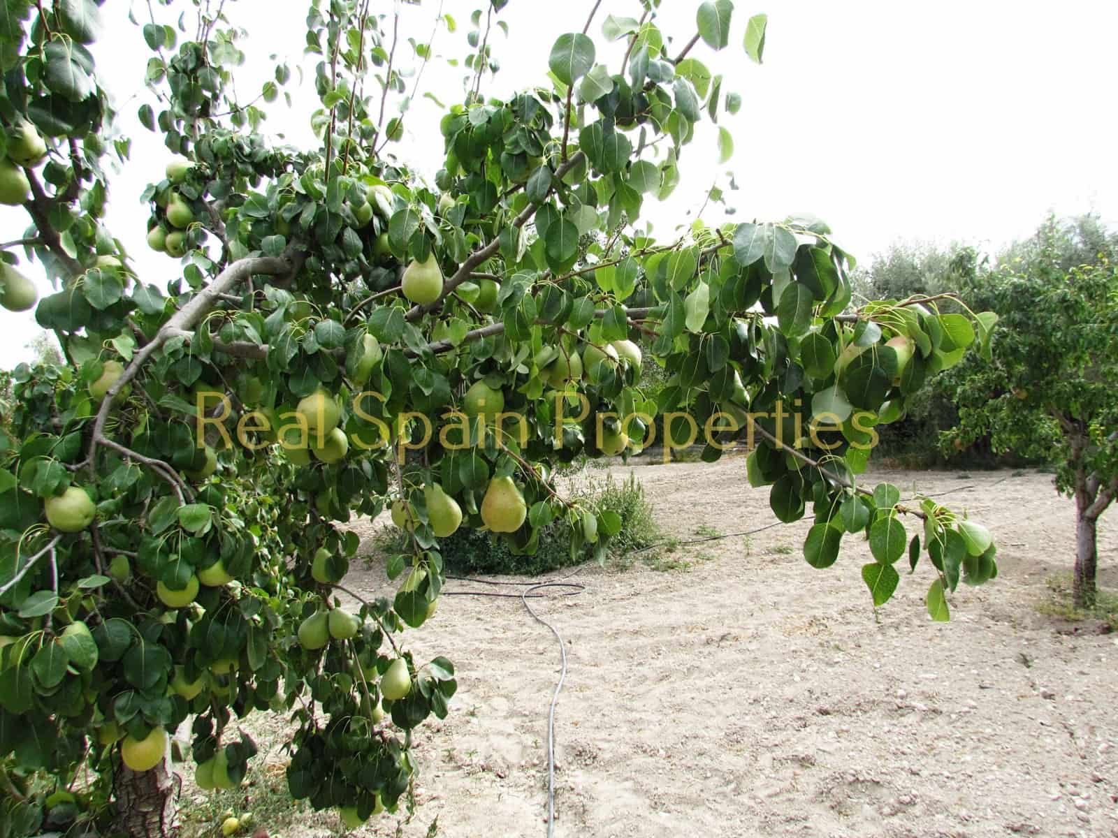 3 camera da letto Finca/Casa di Campagna in vendita in Velez-Rubio - 149.000 € (Rif: 8417221)