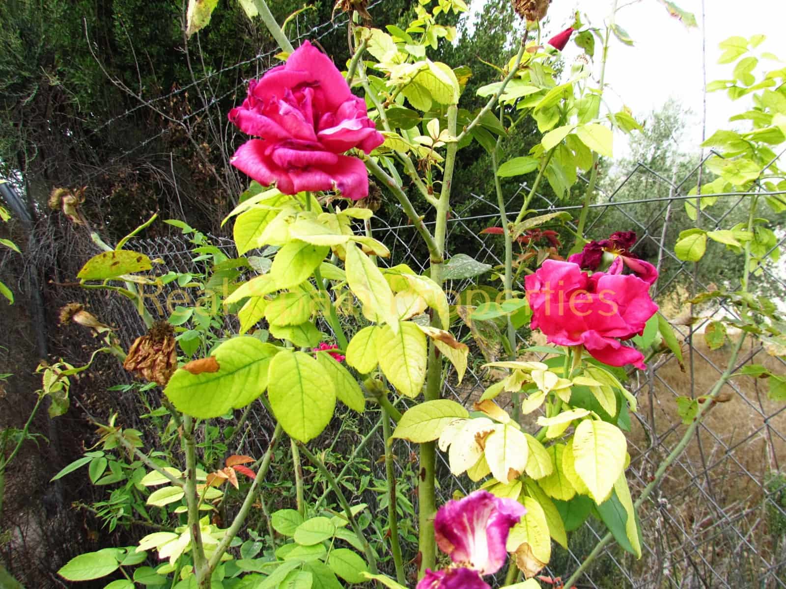 3 camera da letto Finca/Casa di Campagna in vendita in Velez-Rubio - 149.000 € (Rif: 8417221)