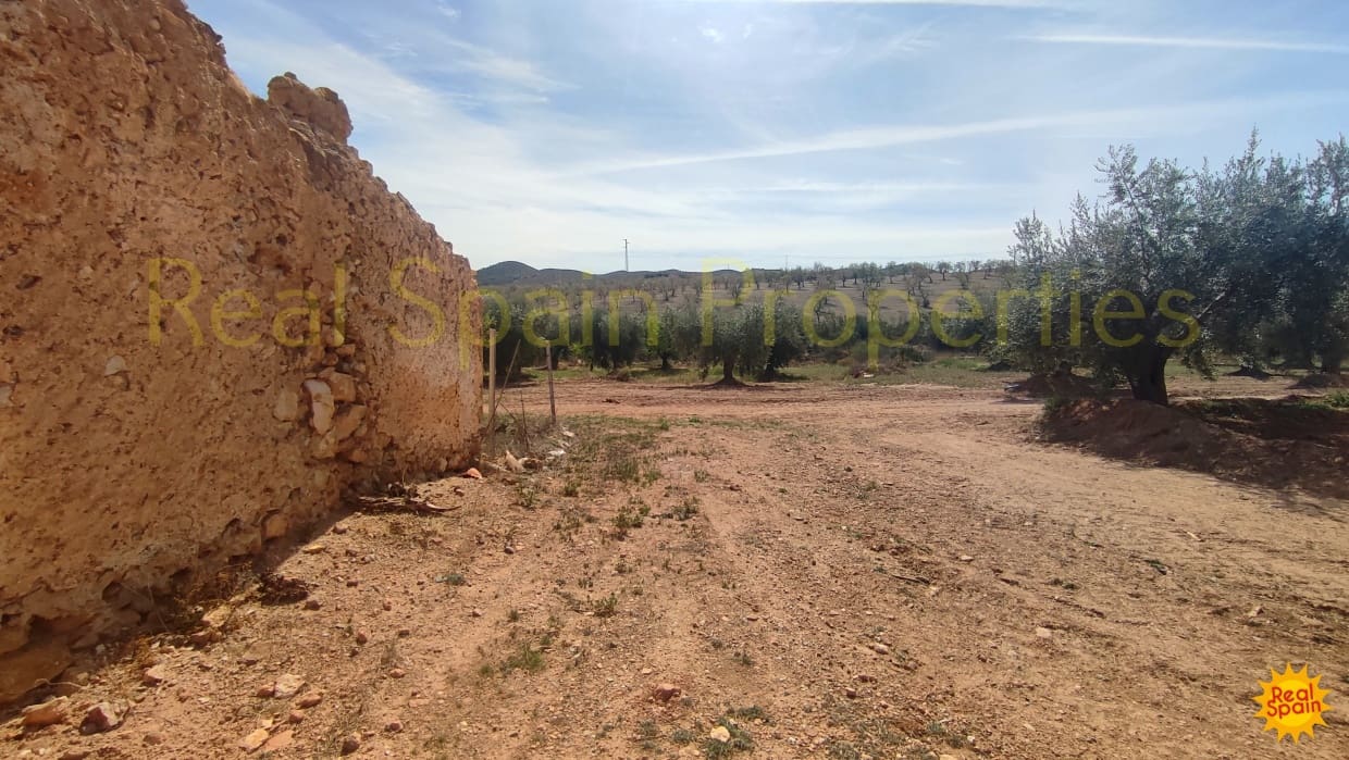 Undeveloped Land for sale in Velez-Rubio - € 31,000 (Ref: 8417230)