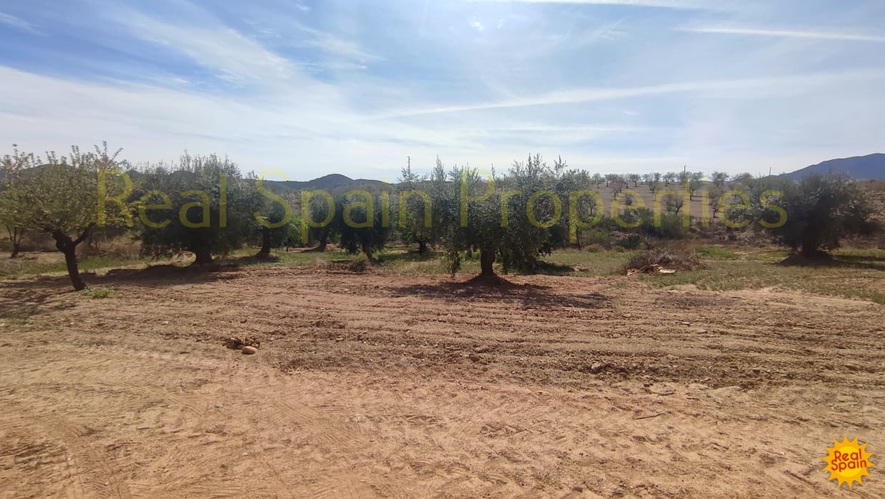 Undeveloped Land for sale in Velez-Rubio - € 31,000 (Ref: 8417230)