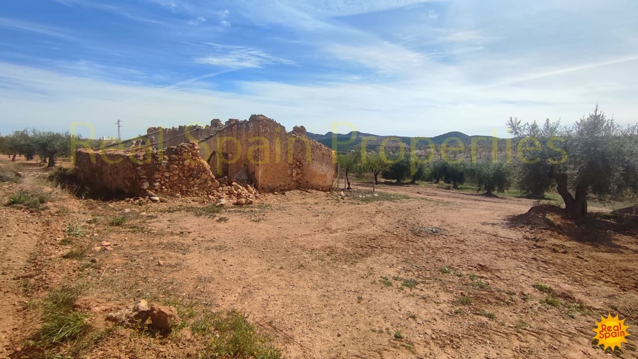 Undeveloped Land for sale in Velez-Rubio - € 31,000 (Ref: 8417230)