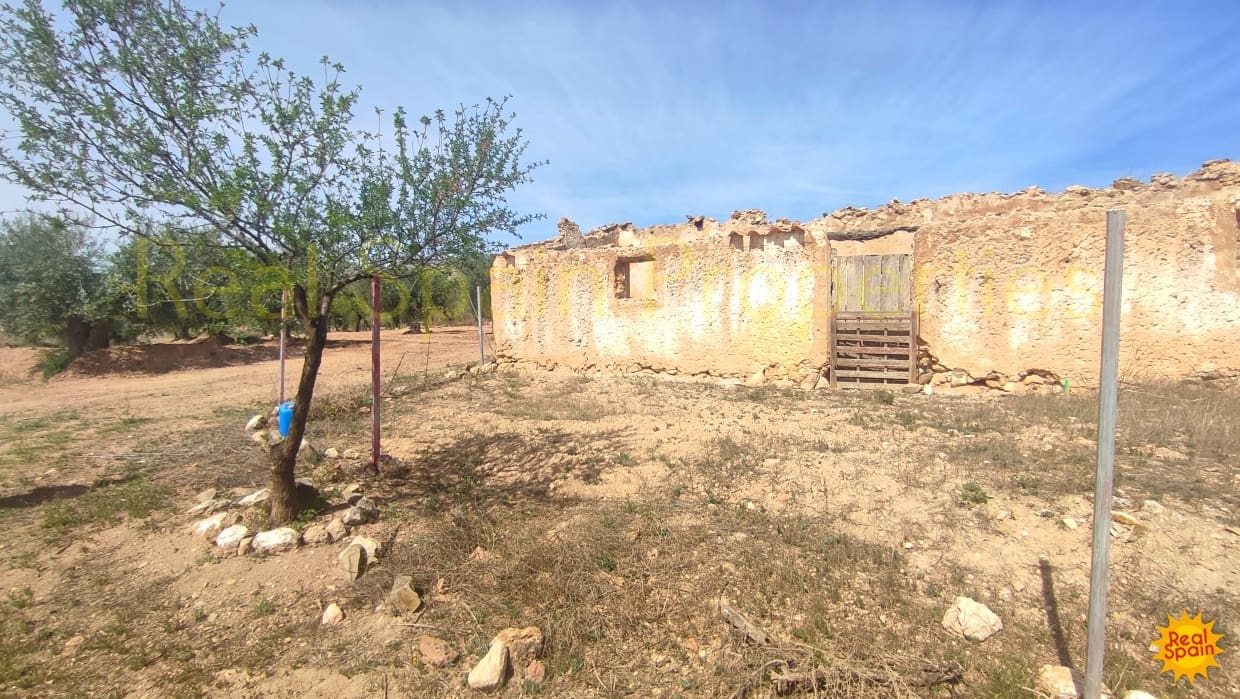 Undeveloped Land for sale in Velez-Rubio - € 31,000 (Ref: 8417230)