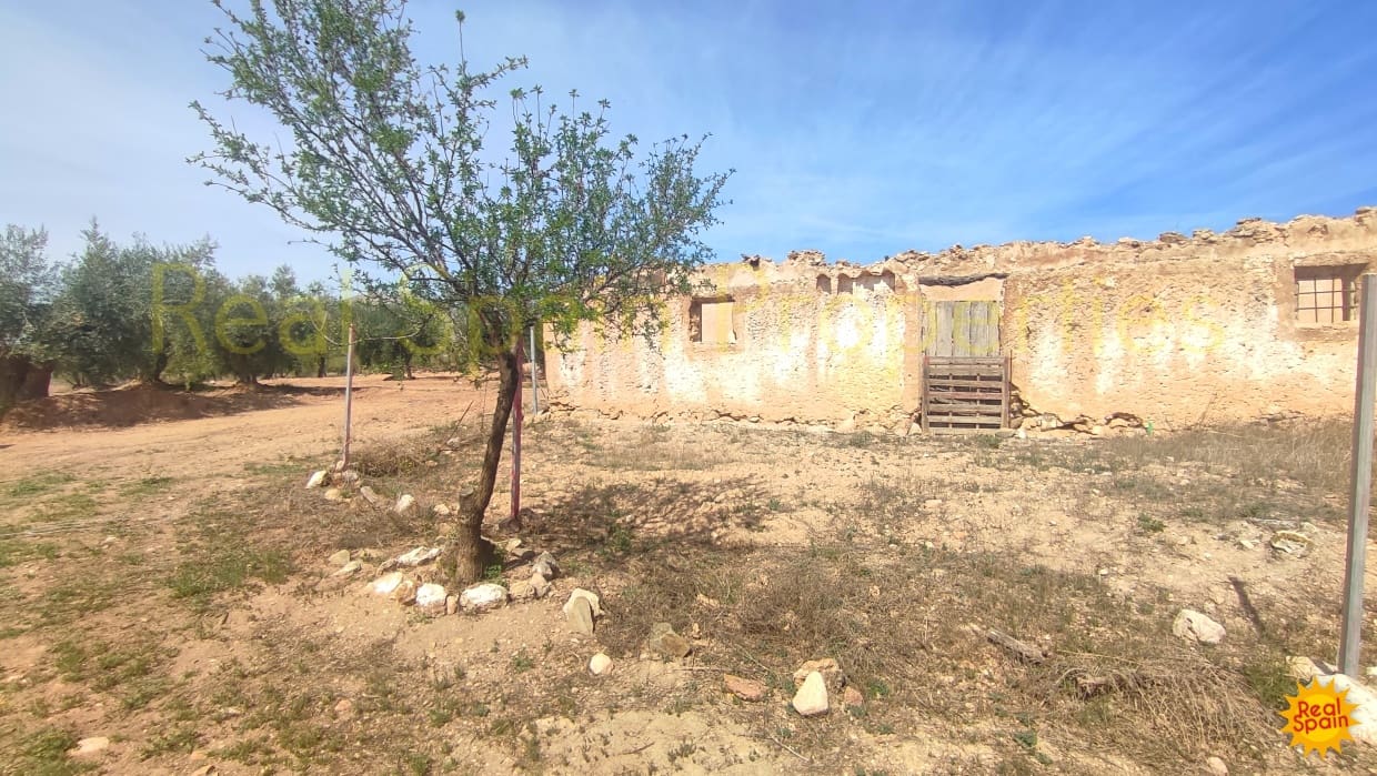Undeveloped Land for sale in Velez-Rubio - € 31,000 (Ref: 8417230)