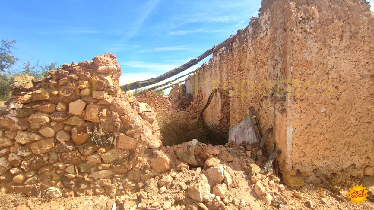 Undeveloped Land for sale in Velez-Rubio - € 31,000 (Ref: 8417230)