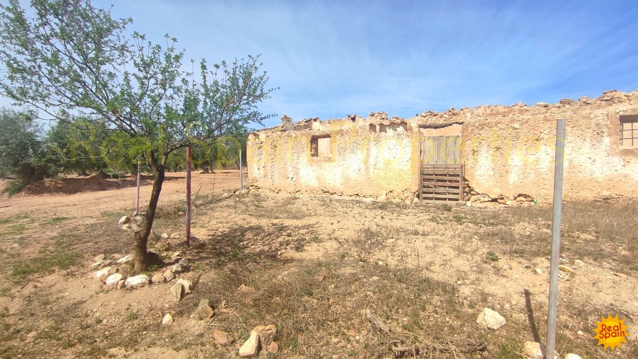 Undeveloped Land for sale in Velez-Rubio - € 31,000 (Ref: 8417230)