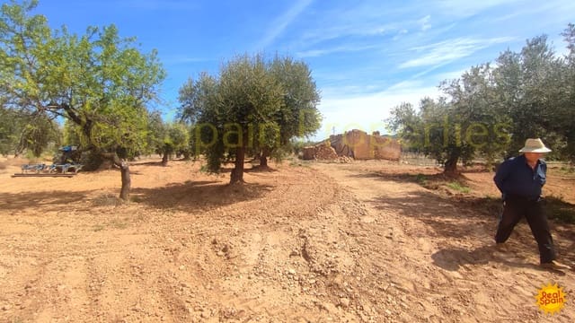 Mark till salu i Vélez-Rubio - 31 000 € (Ref: 8417230)