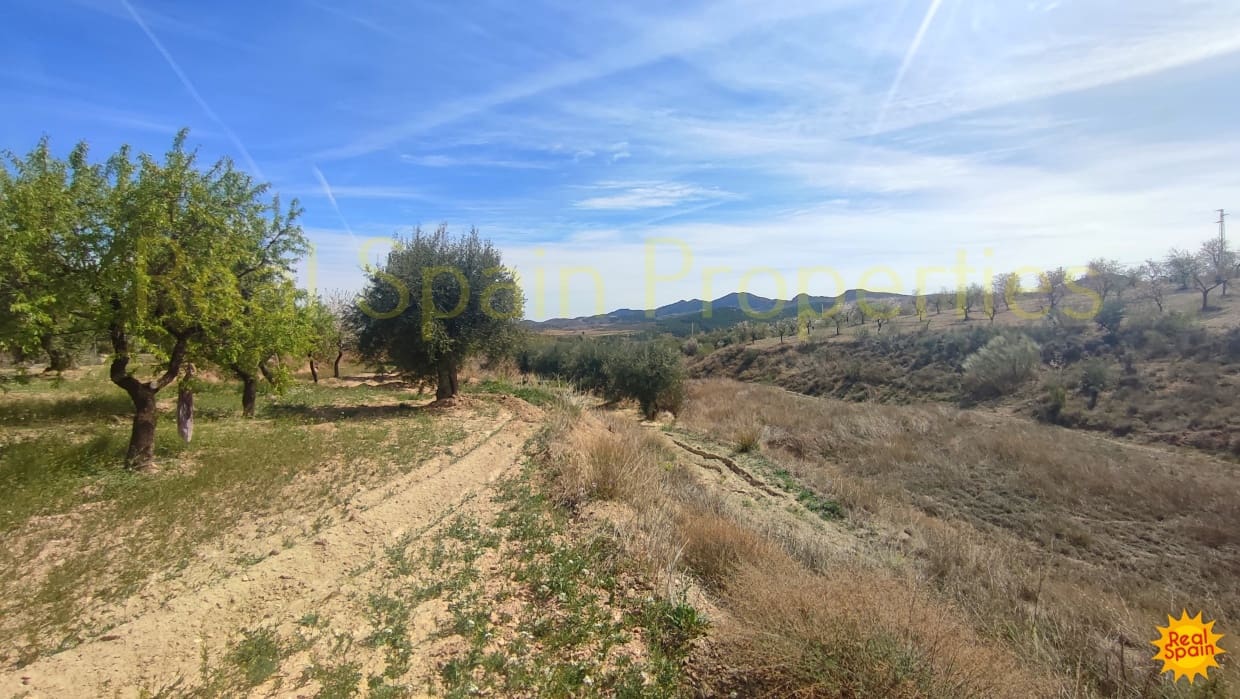 Undeveloped Land for sale in Velez-Rubio - € 31,000 (Ref: 8417230)