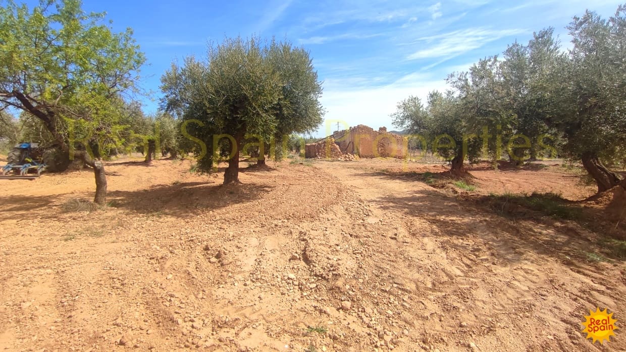 Undeveloped Land for sale in Velez-Rubio - € 31,000 (Ref: 8417230)