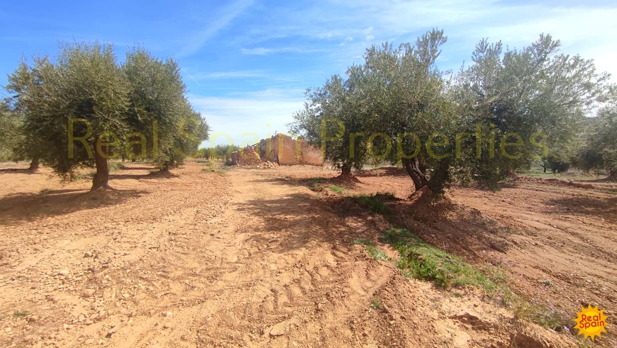 Undeveloped Land for sale in Velez-Rubio - € 31,000 (Ref: 8417230)