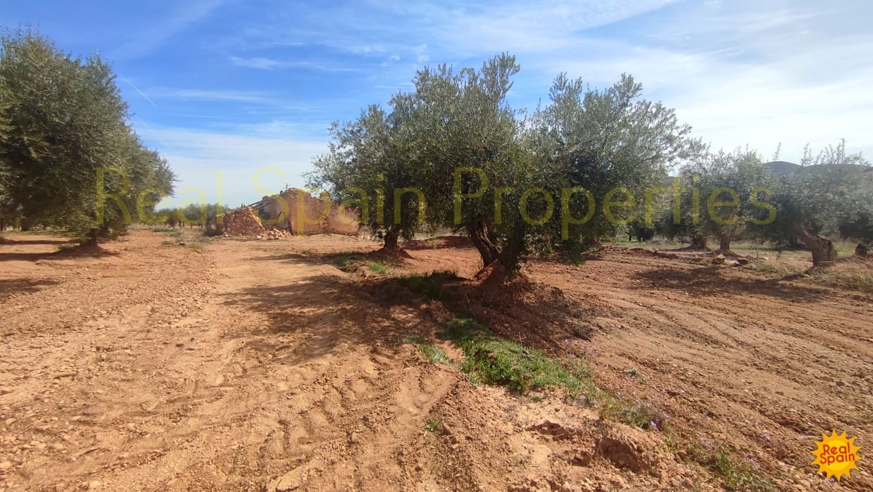 Undeveloped Land for sale in Velez-Rubio - € 31,000 (Ref: 8417230)