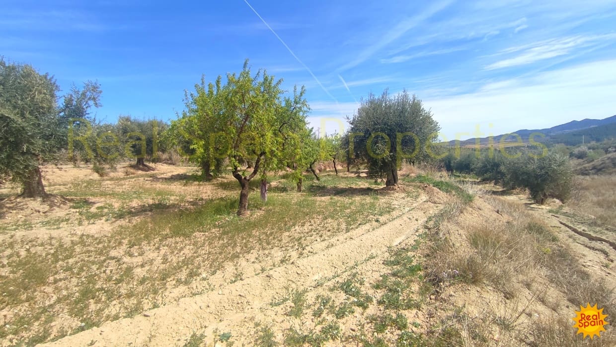 Undeveloped Land for sale in Velez-Rubio - € 31,000 (Ref: 8417230)