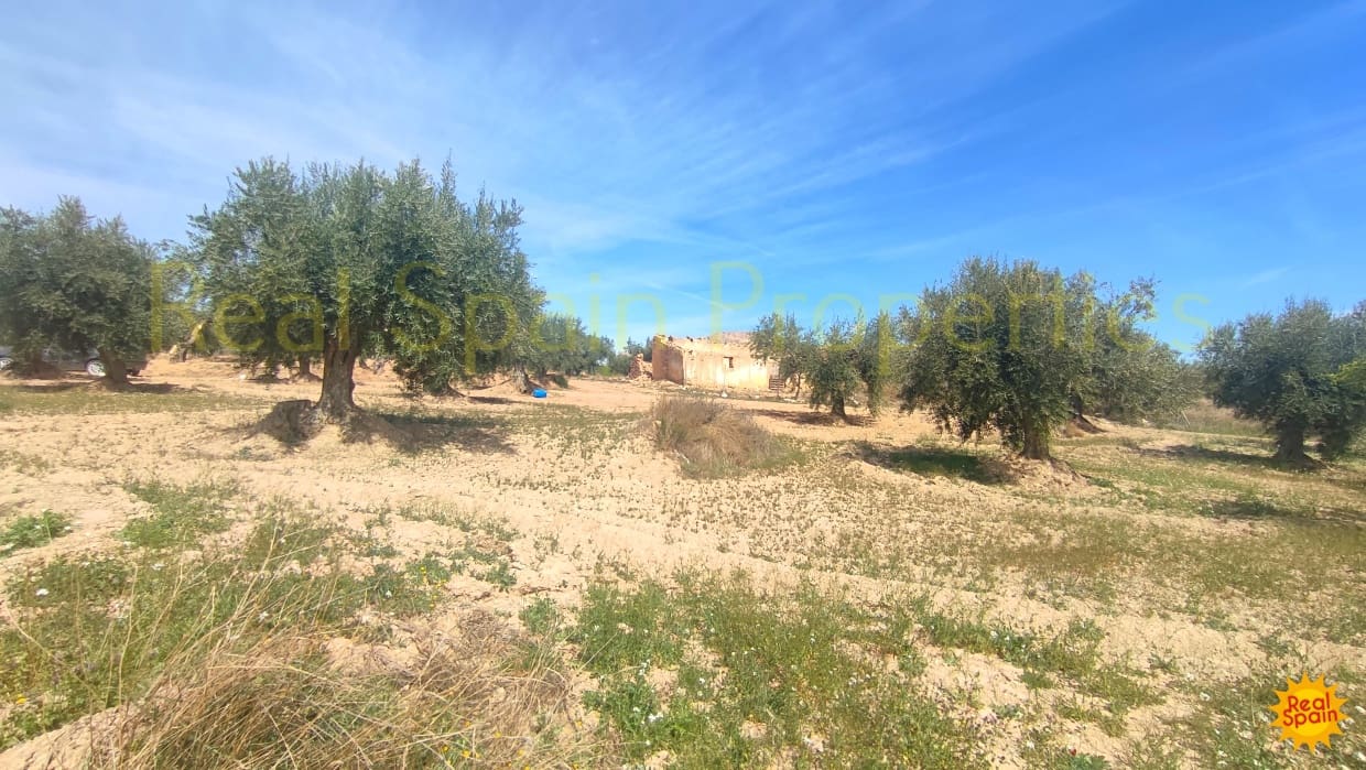 Undeveloped Land for sale in Velez-Rubio - € 31,000 (Ref: 8417230)