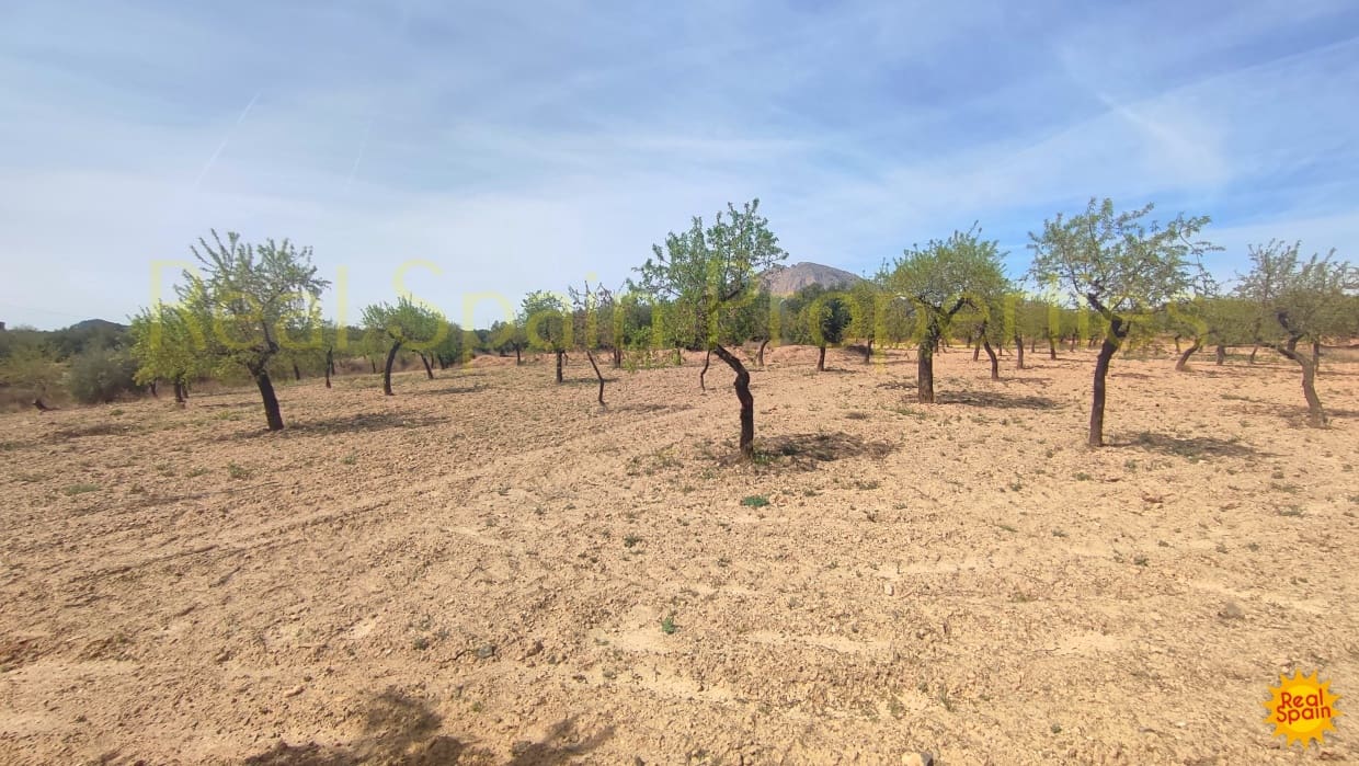 Undeveloped Land for sale in Velez-Rubio - € 31,000 (Ref: 8417230)