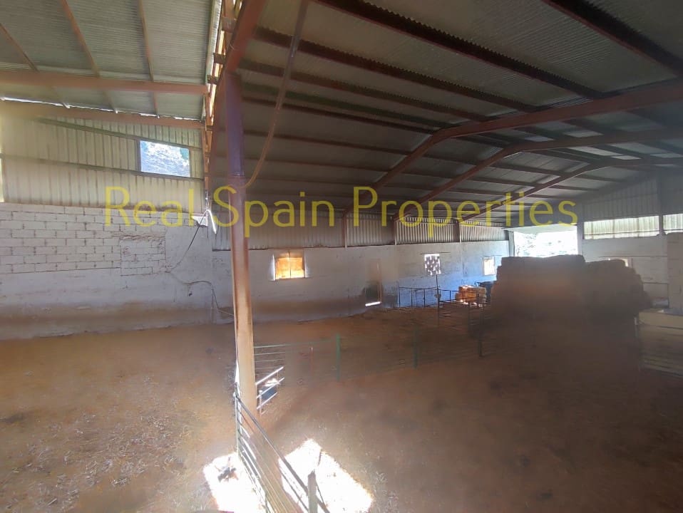 4 soverom Kommersiell til salgs i Taberno - € 450 000 (Ref: 8417231)