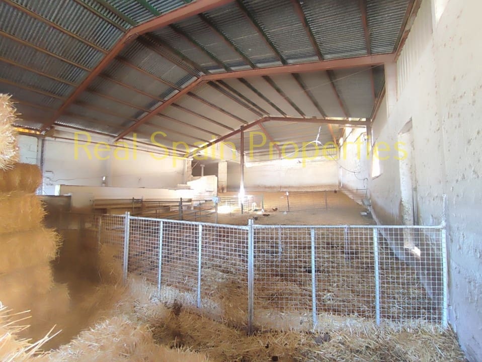 4 soverom Kommersiell til salgs i Taberno - € 450 000 (Ref: 8417231)