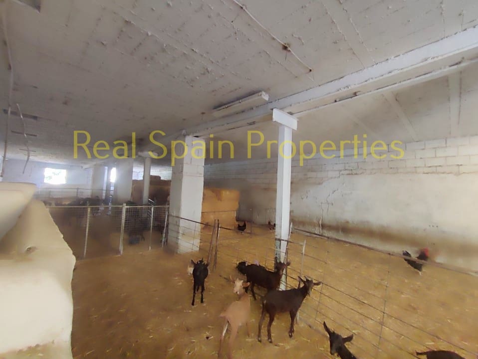 4 soverom Kommersiell til salgs i Taberno - € 450 000 (Ref: 8417231)