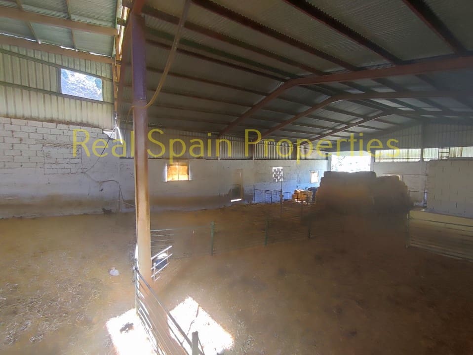 4 soverom Kommersiell til salgs i Taberno - € 450 000 (Ref: 8417231)