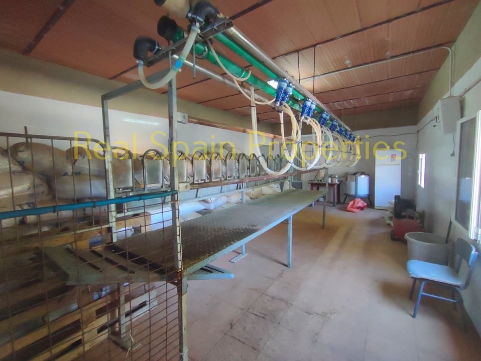 4 soverom Kommersiell til salgs i Taberno - € 450 000 (Ref: 8417231)