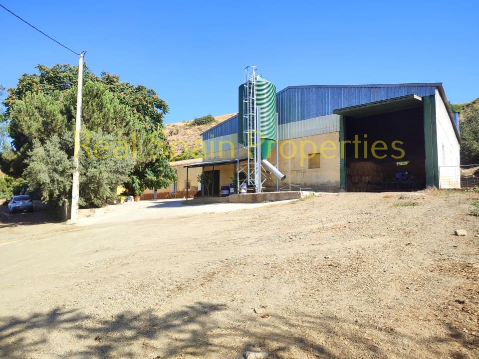 4 soverom Kommersiell til salgs i Taberno - € 450 000 (Ref: 8417231)