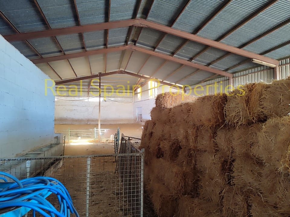 4 soverom Kommersiell til salgs i Taberno - € 450 000 (Ref: 8417231)