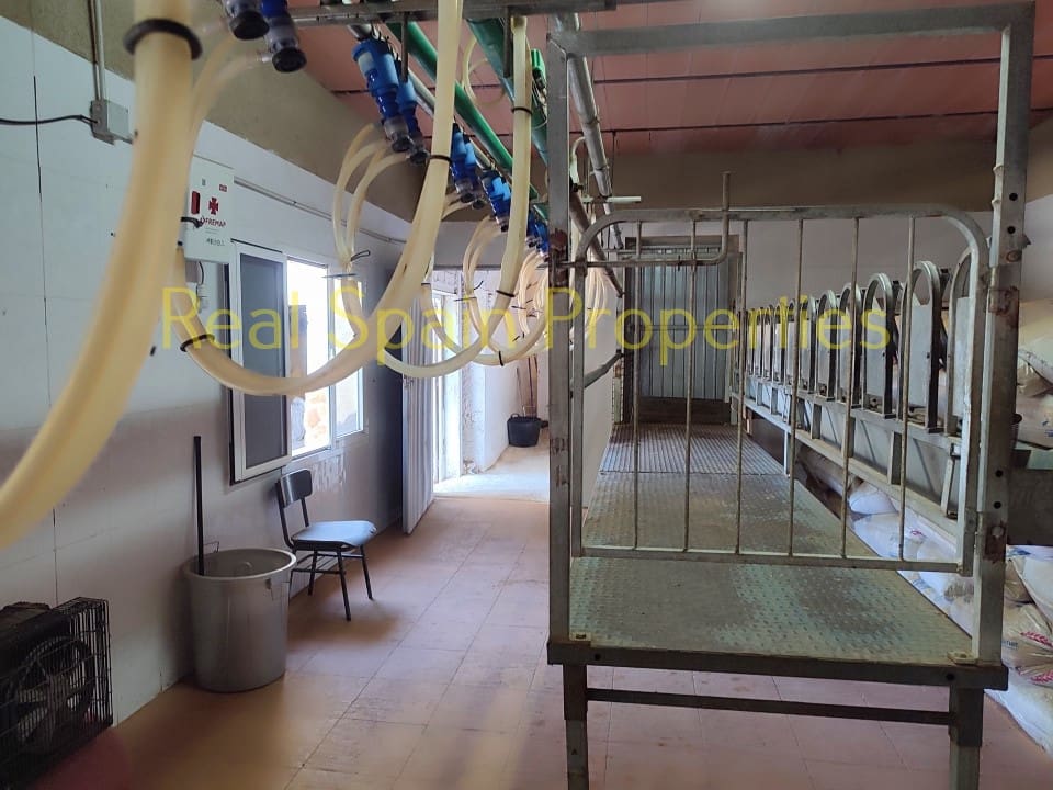 4 soverom Kommersiell til salgs i Taberno - € 450 000 (Ref: 8417231)