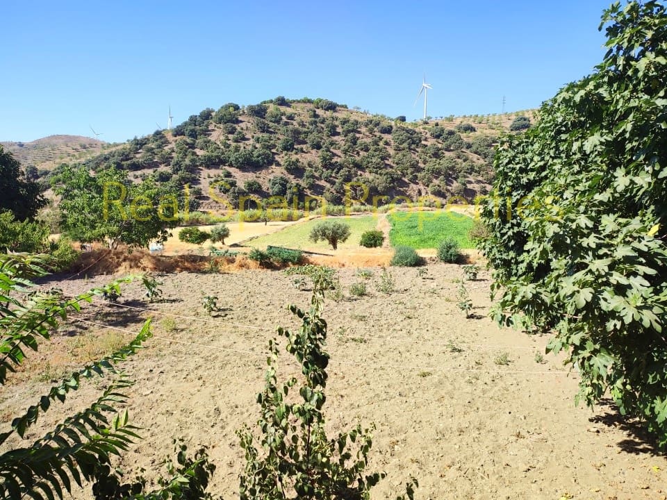 4 soverom Kommersiell til salgs i Taberno - € 450 000 (Ref: 8417231)