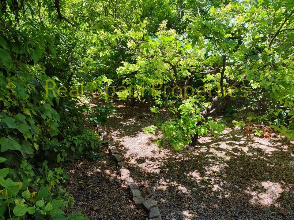 3 soverom Finca/Herregård til salgs i Velez-Blanco med svømmebasseng - € 360 000 (Ref: 8417232)