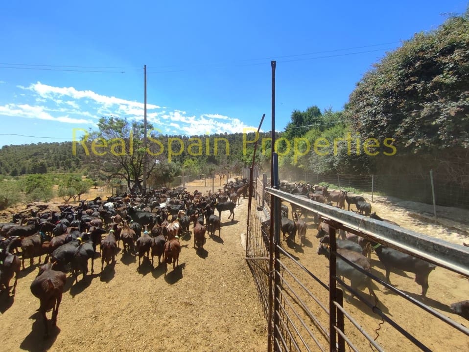 3 soverom Finca/Herregård til salgs i Velez-Blanco med svømmebasseng - € 360 000 (Ref: 8417232)