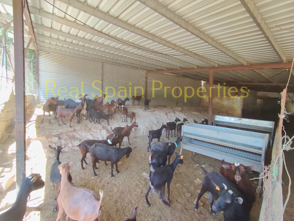 3 soverom Finca/Herregård til salgs i Velez-Blanco med svømmebasseng - € 360 000 (Ref: 8417232)