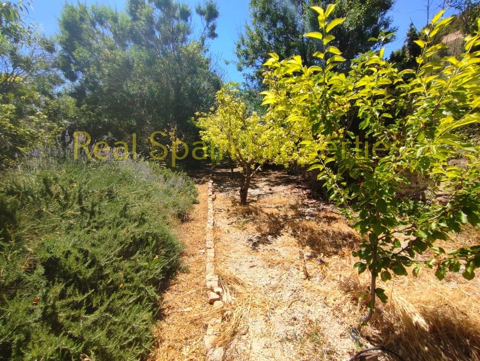 3 soverom Finca/Herregård til salgs i Velez-Blanco med svømmebasseng - € 360 000 (Ref: 8417232)