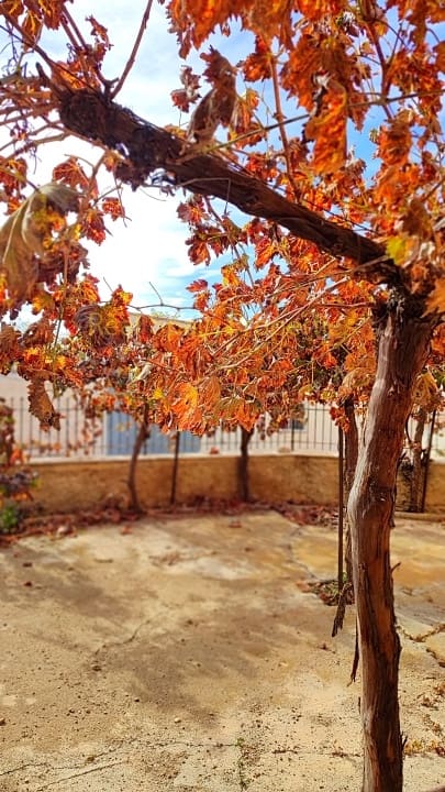 10 soveværelse Byhus til salg i Venta Quemada - € 79.900 (Ref: 8417240)