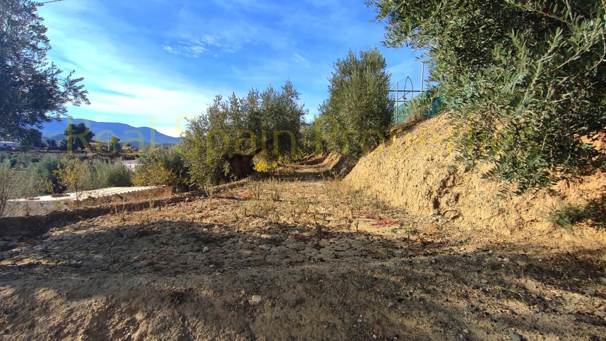 5 sovrum Villa till salu i Velez-Rubio med pool - 315 000 € (Ref: 8417245)