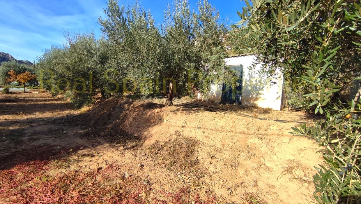 5 sovrum Villa till salu i Velez-Rubio med pool - 315 000 € (Ref: 8417245)