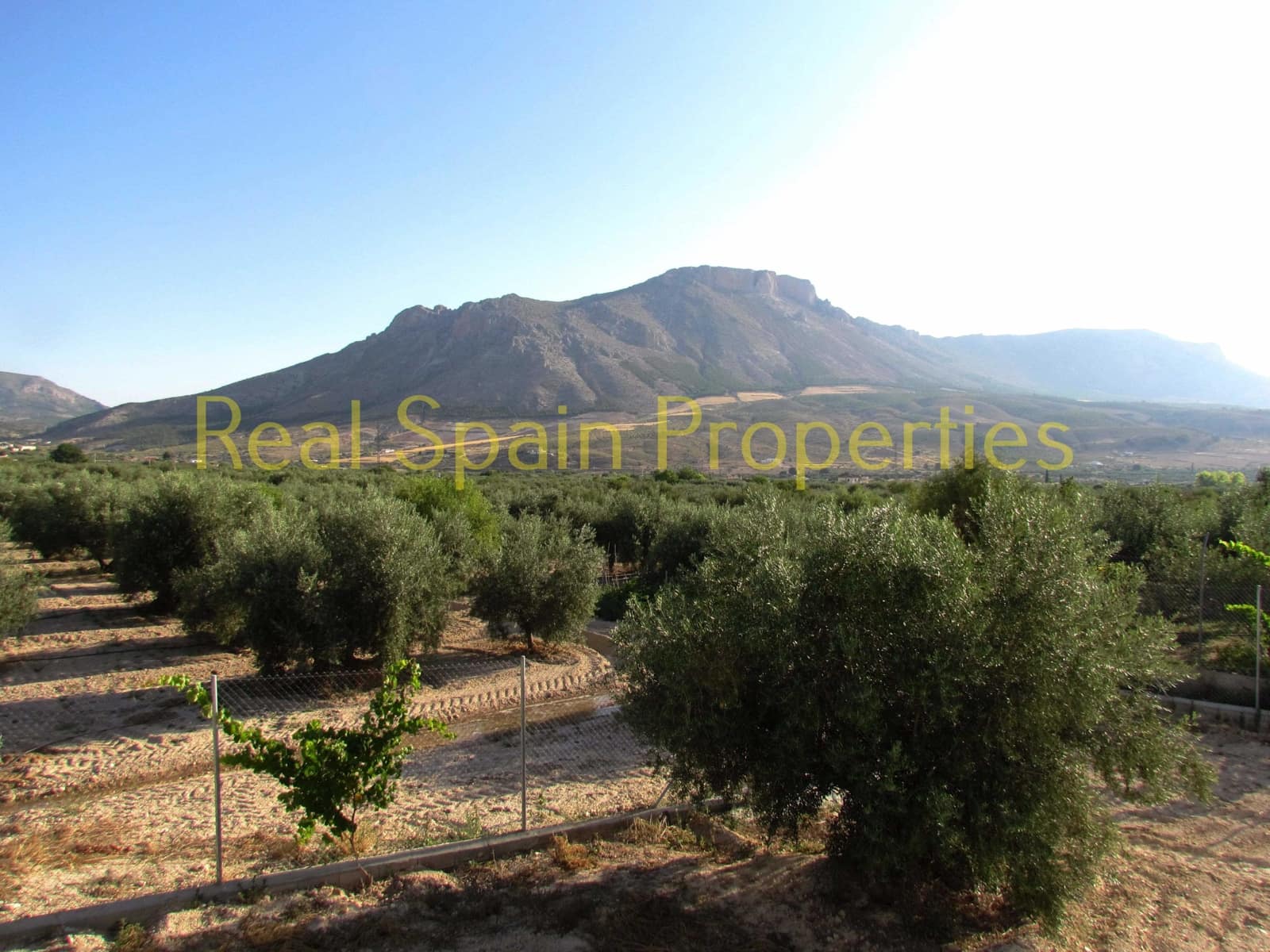 3 bedroom Finca/Country House for sale in Velez-Blanco - € 245,000 (Ref: 8417249)