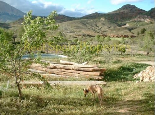 12 sovrum Finca/Hus på landet till salu i Velez-Rubio - 175 000 € (Ref: 8417259)