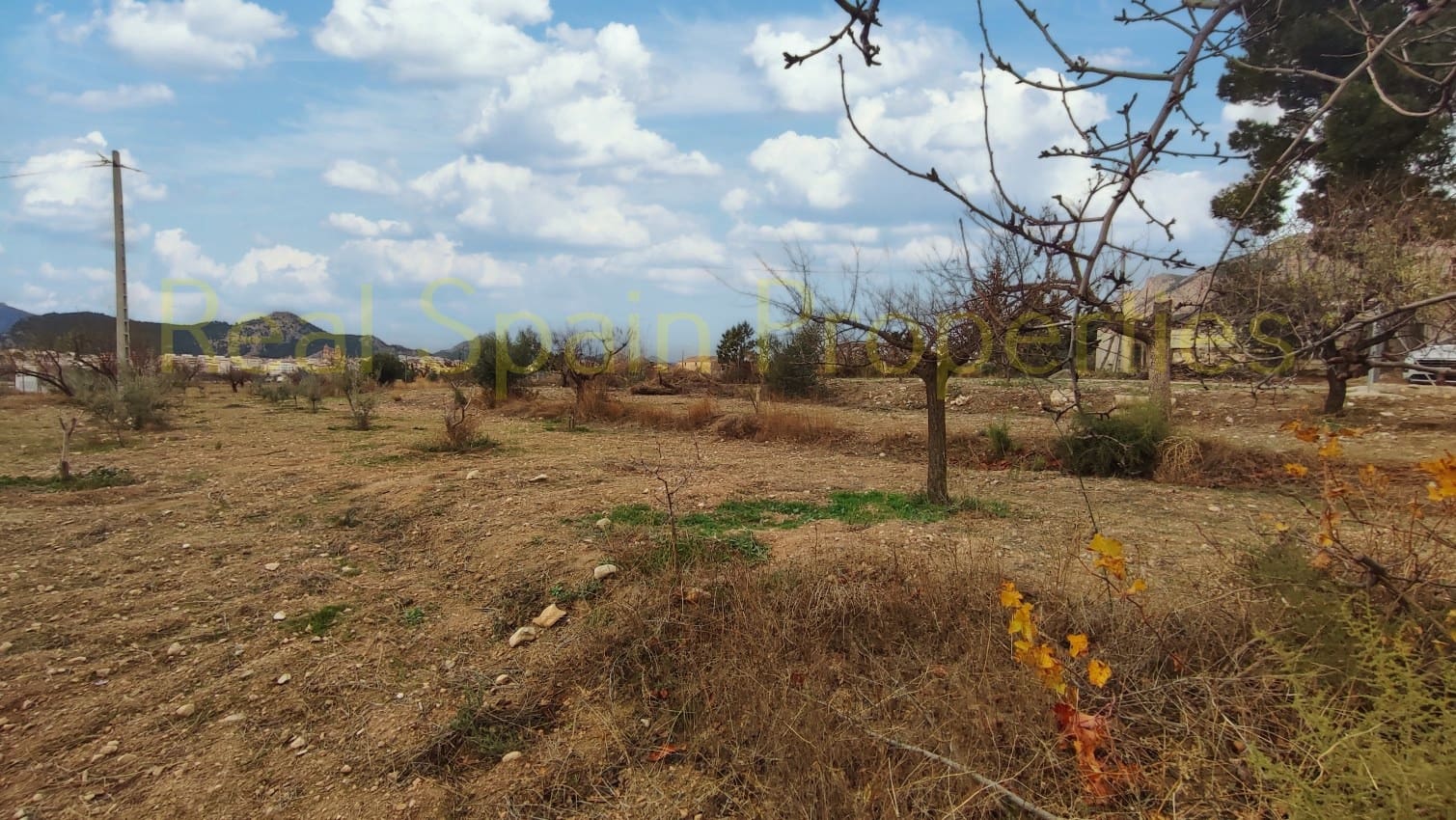 4 soveværelse Finca/Landehus til salg i Velez-Rubio - € 125.000 (Ref: 8417260)