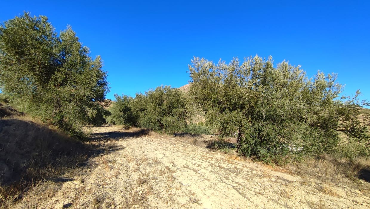 4 soveværelse Byhus til salg i Velez-Blanco - € 49.900 (Ref: 8417262)