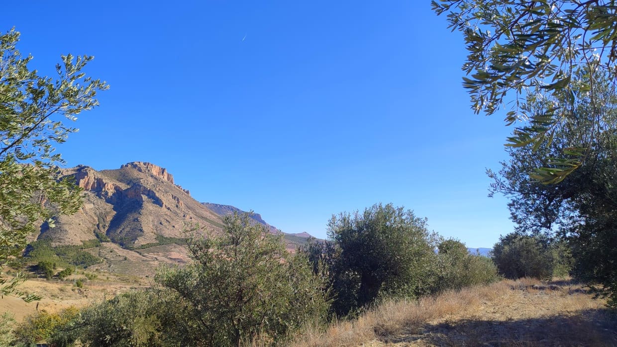 4 soveværelse Byhus til salg i Velez-Blanco - € 49.900 (Ref: 8417262)